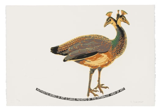 Joachim Schönfeldt; Untitled (Peahen)