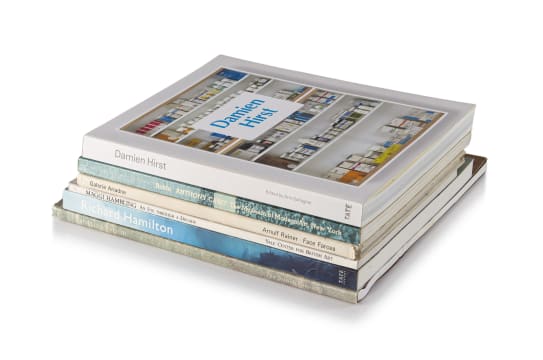 Various Authors; International Contemporary Artists Monographs and Catalogues, six