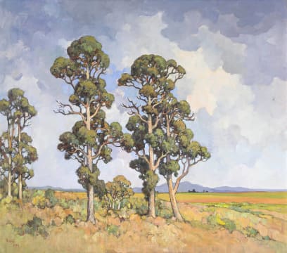 Conrad Theys; Bluegum Trees, Swartland