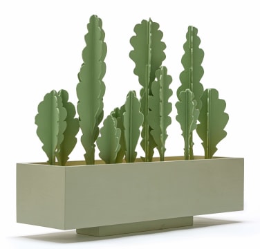Henry Davies; Cactus Box