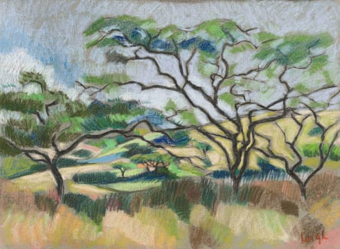 Nichola Alice Leigh; Umgeni Thorn Trees