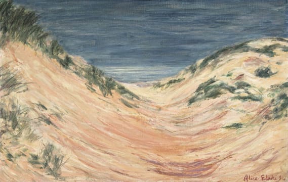 Alice Elahi; Dunescape