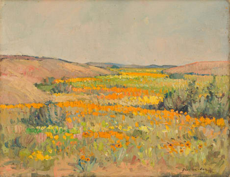 Piet van Heerden; Namaqualand