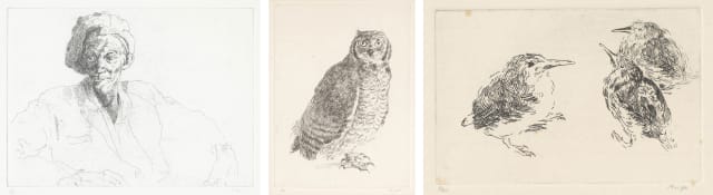 François Krige; Portrait of a Man; Owl; and Kingfisher Chicks, three