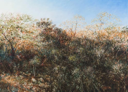 Scott Bredin; Hilton College Estate – uMngeni Valley Bushveld