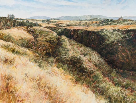 Scott Bredin; Hilton College Estate – Pinnacles and the Gwens Valley