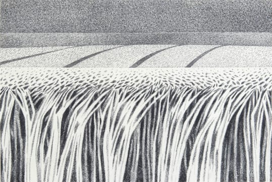 Bronwen (Jinny) Heath; Field No. 3