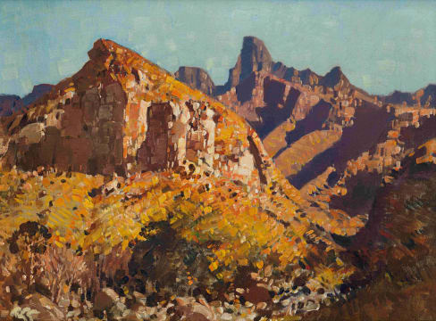 Robert Gwelo Goodman; Mont-aux-Sources