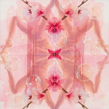 Tracy Payne; Budding Yin I, quadriptych