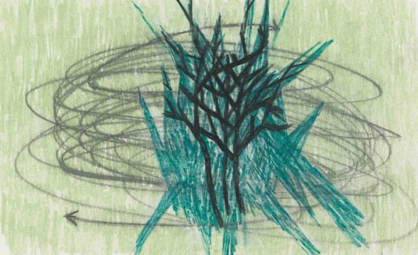 Jan-Henri Booyens; Weerlig (Lightning)