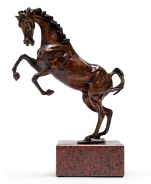Danie de Jager; Rearing Horse