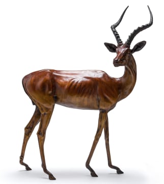 Danie de Jager; Impala Ram