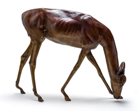 Danie de Jager; Impala Ewe
