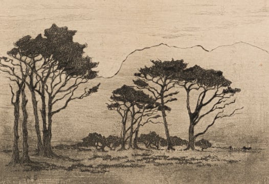 Nita Spilhaus; Landscape with Trees