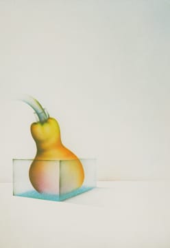 Norman Catherine; Still Life