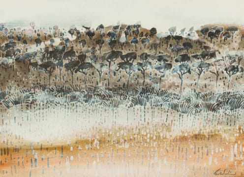 Gordon Vorster; Herd of Zebra