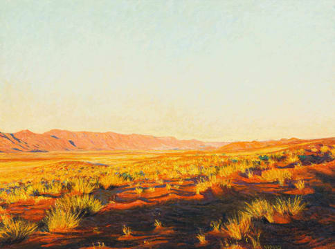 Walter Meyer; Wintergrass, Namib