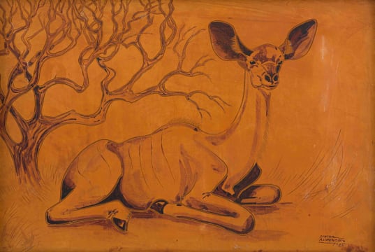 Hans Anton Heinrich Aschenborn; Resting Kudu