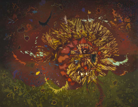 Judith Mason; The Heaven of Insects