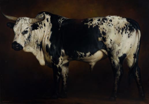 Jaco van Schalkwyk; Inguni Emnyama