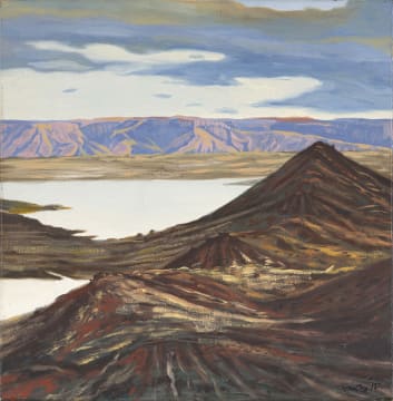 Andre van Zyl; S.W. Landscape