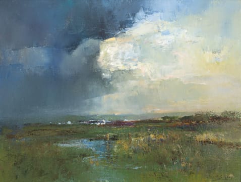 Errol Boyley; Landscape