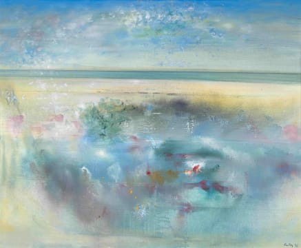Larry Scully; Meditasie