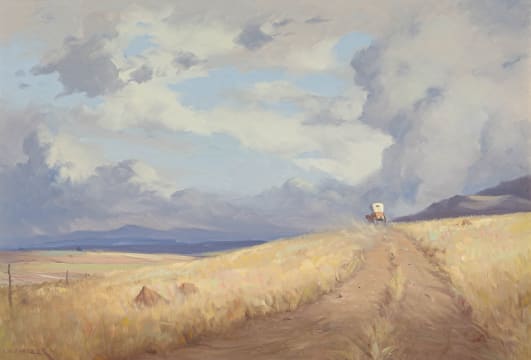 Willem Hermanus Coetzer; Cape Cart