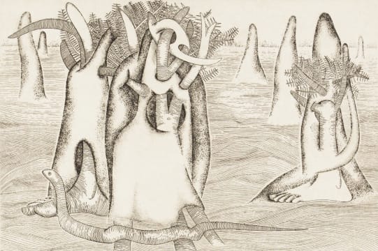 Wendy Vincent; Surreal Garden of Eden