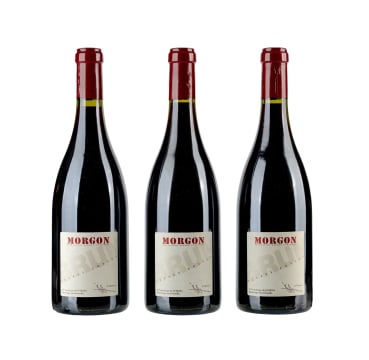 des Terres Dorées; Morgon; 2009; 3 (1 x 3); 750ml