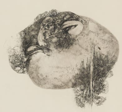 Ezrom Legae; Bird Egg Hatching
