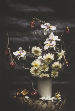 Joe Dreyer; Granadilla