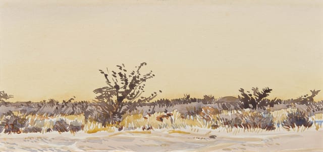 Adolph Jentsch; S.W. Afrika