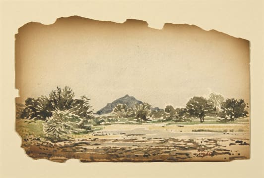 Adolph Jentsch; SWA Landscape