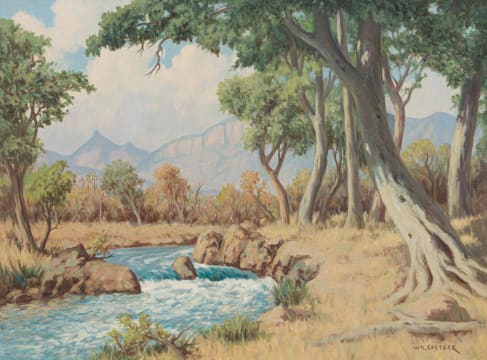 Willem Hermanus Coetzer; Transvaal Lowveld