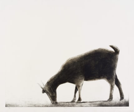 Sam Nhlengethwa; Grazing I