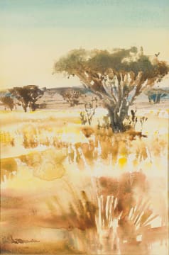 Ulrich Schwanecke; Veld (S.W.A).