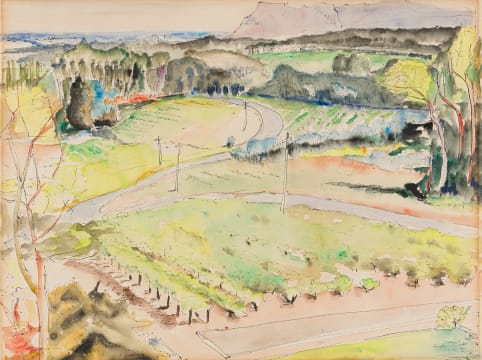 Maud Sumner; Cape Vineyards