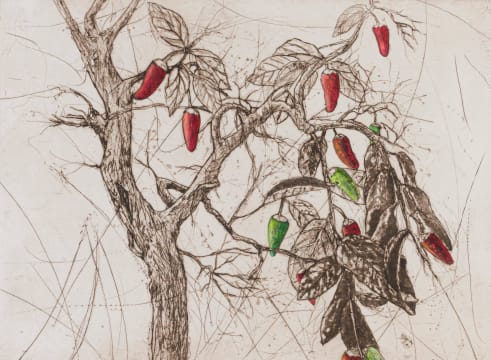 Phillemon Hlungwani; Tsengele Dontswi (Chilli Tree)