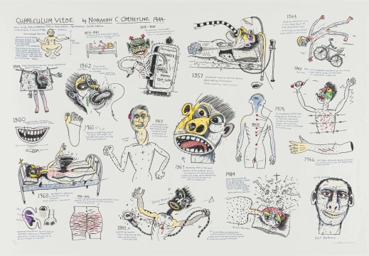Norman Catherine; Curriculum Vitae