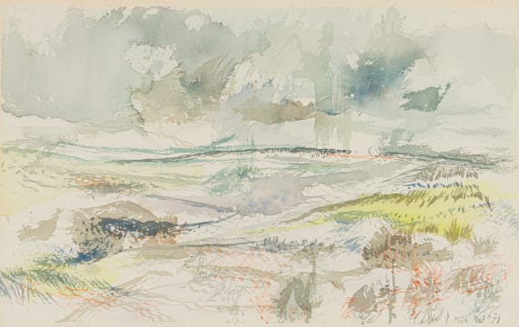 Thijs Nel; Landscape