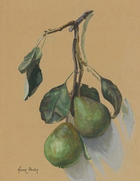 Frans Oerder; Fruit
