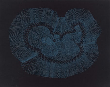 Walter Oltmann; Cradle