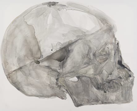 Joni Brenner; Skull