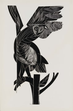 Raymond Andrews; Owl Taking Flight