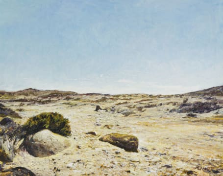 Walter Meyer; Naby Lüderitz