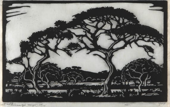 Jacob Hendrik Pierneef; Doringboom, Potgietersrust (Nilant 62)