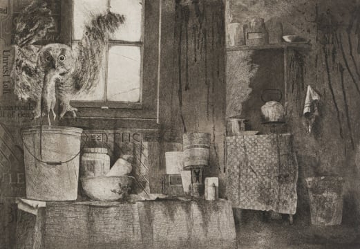 Pippa Skotnes; Interior with Objects and Owl
