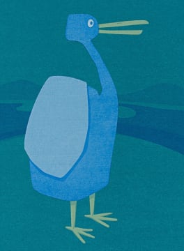 Fred Schimmel; Duck