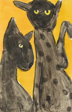 Colbert Mashile; Felines